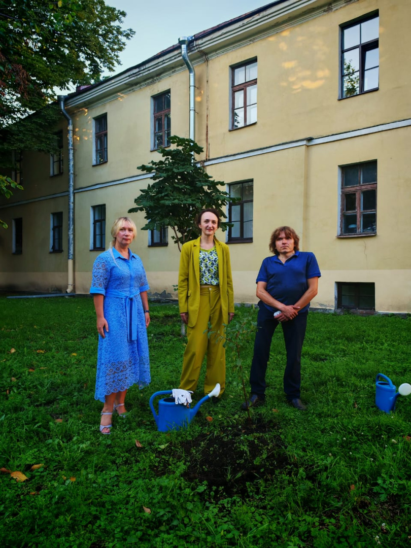 На аллее К.Д. Ушинского возле 20 корпуса стало на одну сакуру больше...