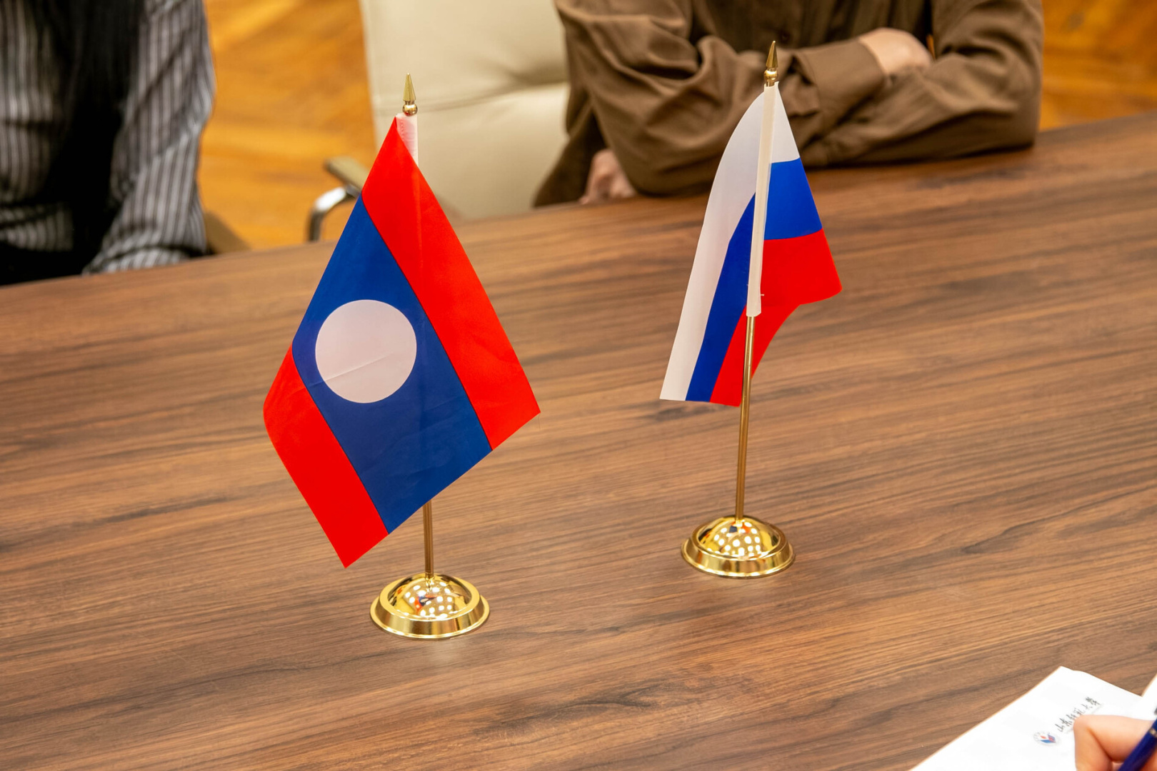 РГПУ им. А. И. Герцена рассматривает возможность создания программ по преподаванию лаосского языка