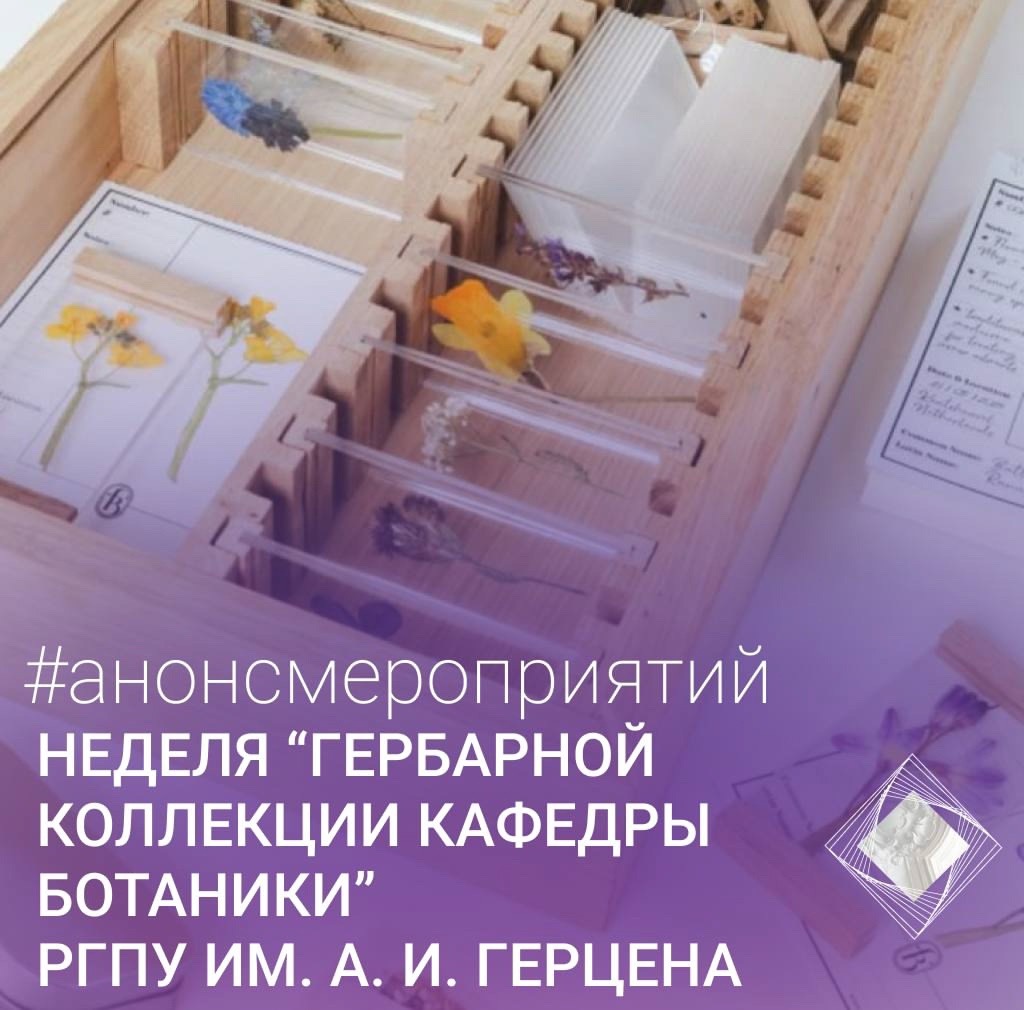17, 19 и 21 марта 2025 года в Открытом кампусе состоится Неделя “Гербарной коллекции кафедры ботаники”