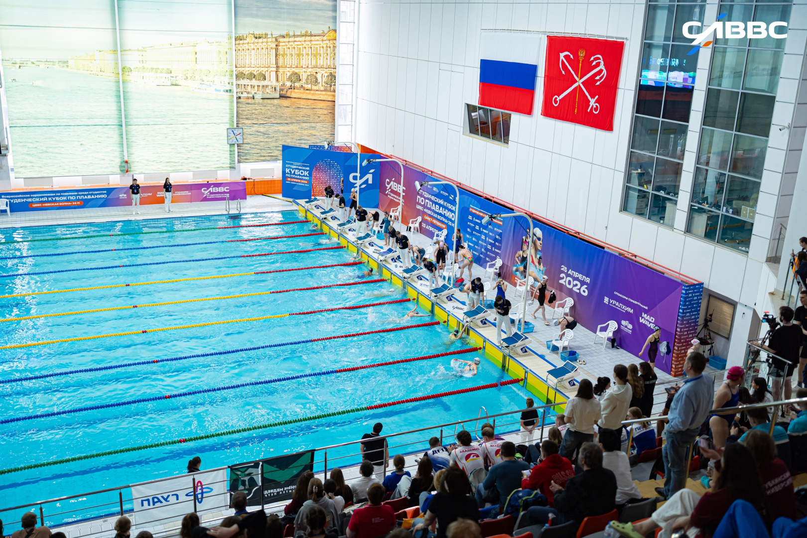 Студентка РГПУ им. А. И. Герцена завоевала золото и серебро чемпионата России по плаванию