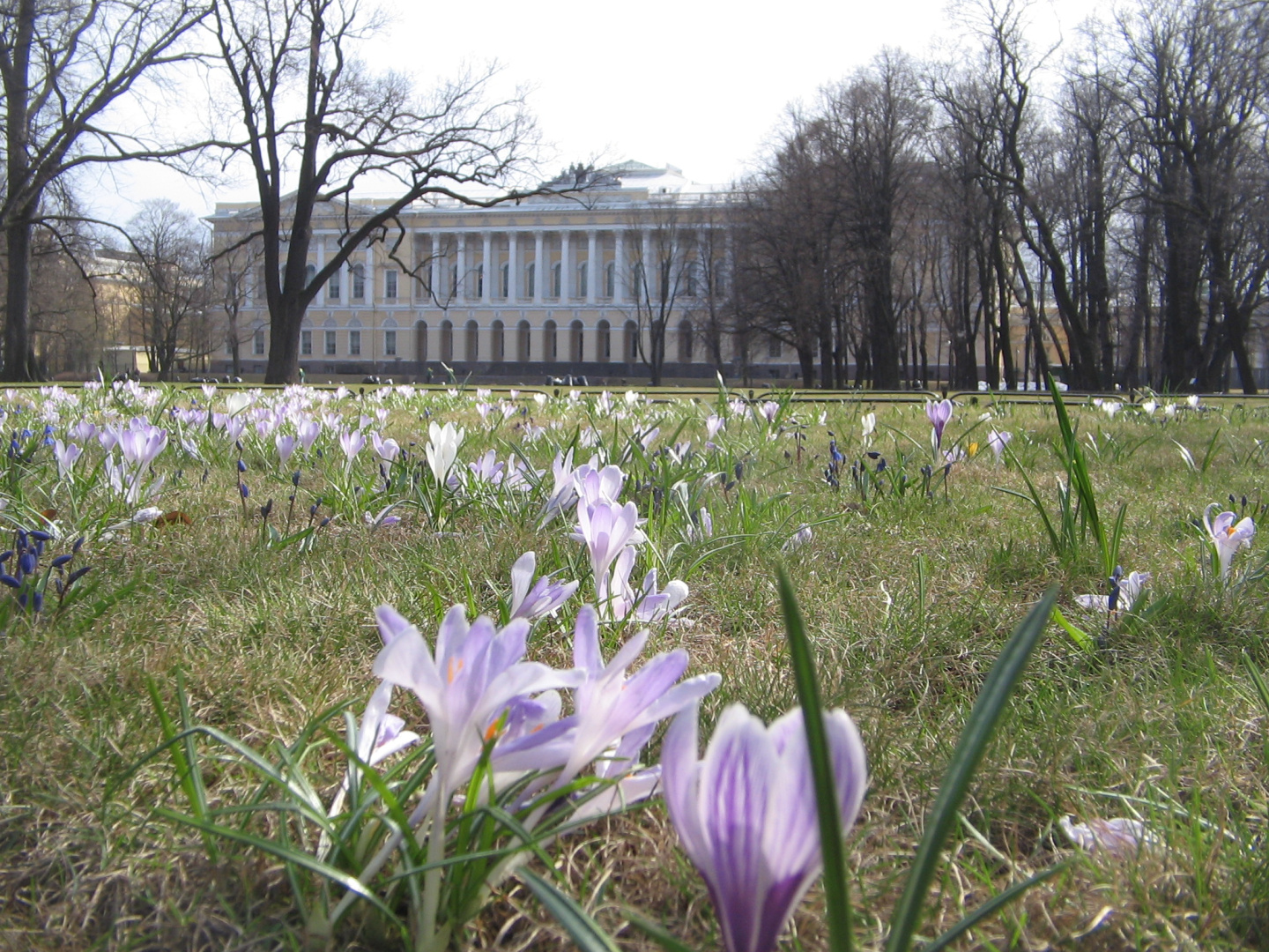 Анонс. Лекция «Сады эпохи Просвещения. Пейзажный „английский“ стиль»