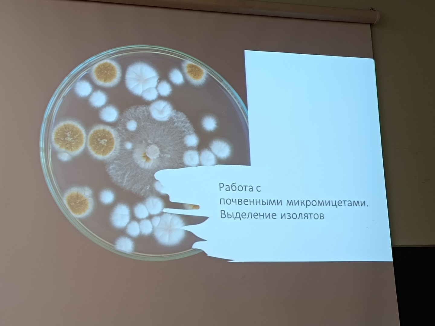 Ноябрь - месяц студенческой науки на факультете биологии