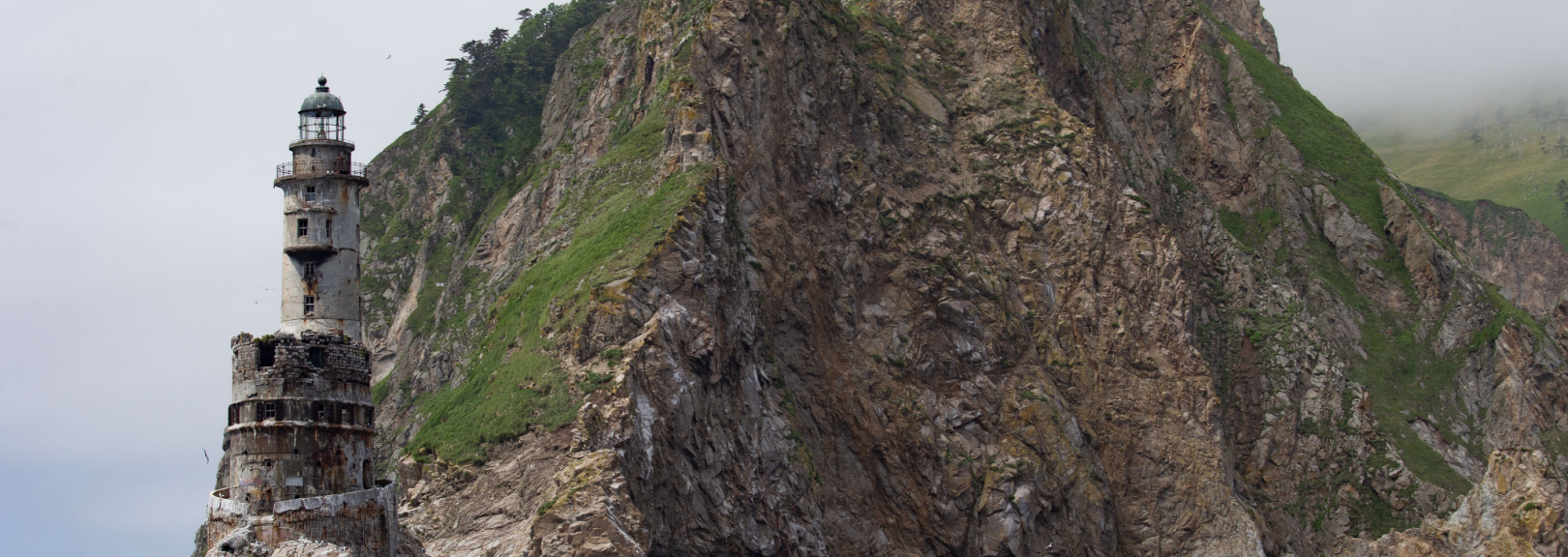 устойчивое развитие.png