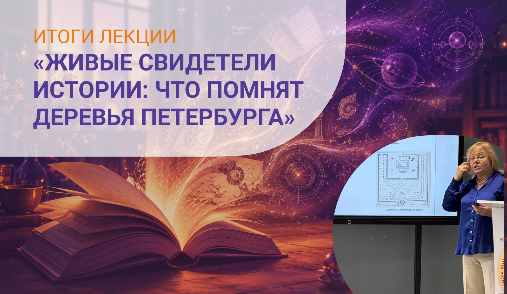 Итоги. Живые свидетели истории: что помнят старейшие деревья Петербурга
