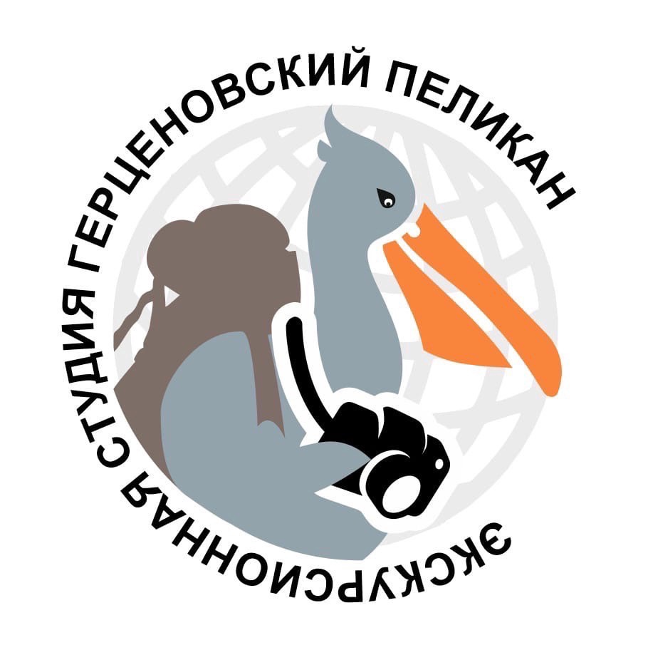 Герценовский Пеликан.jpg