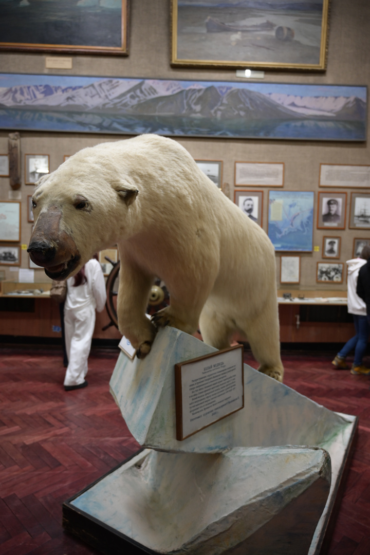 DSC_3574.JPG