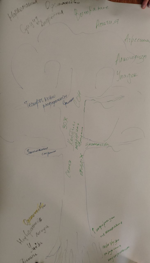 acfc3003-cc61-433b-b503-3e3f1d2aa4a6 (1).jpeg