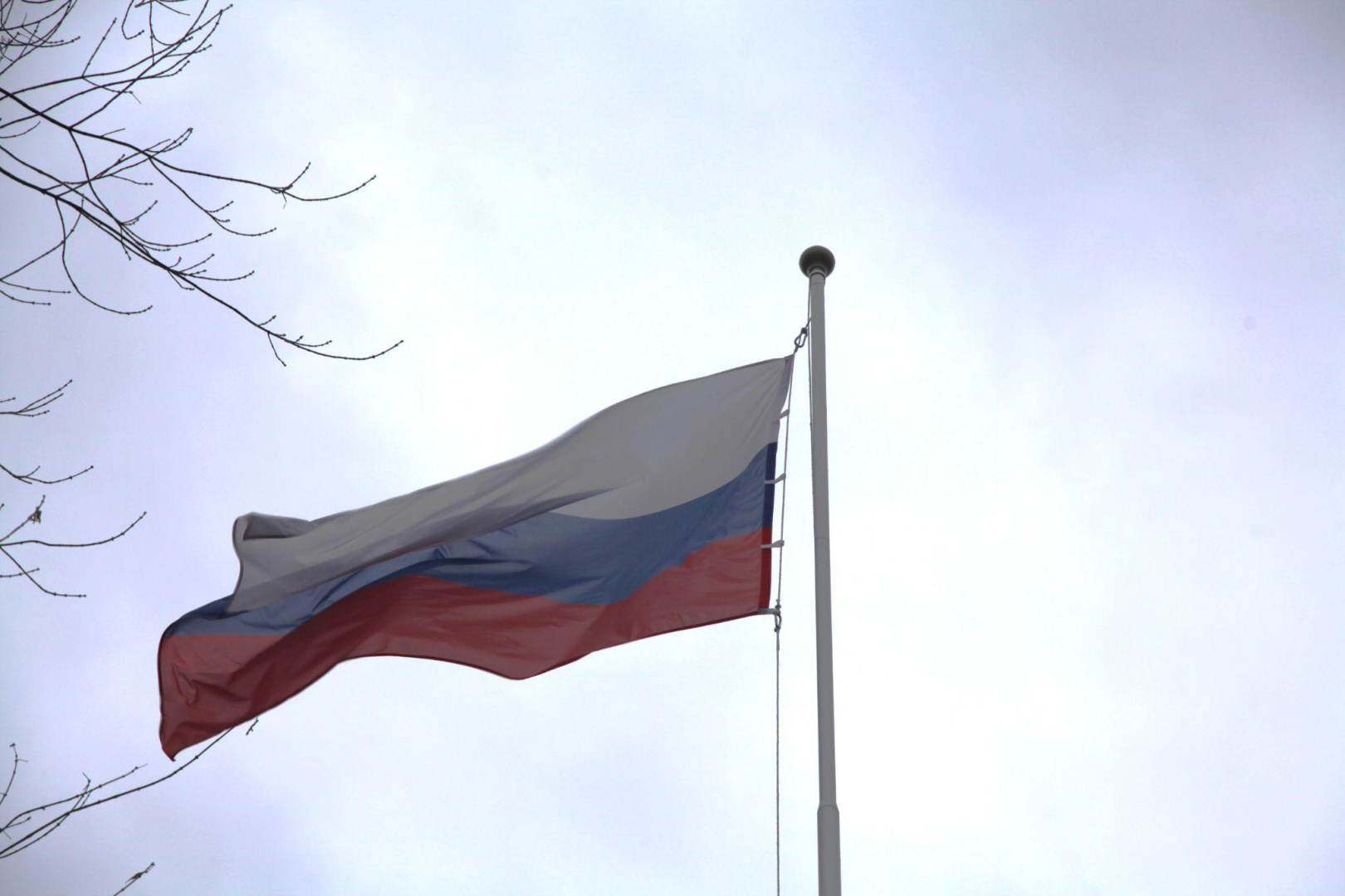 В Герценовском университете прошла торжественная церемония поднятия Государственного флага