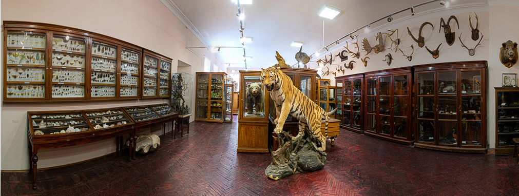 Зоологический музей Герценовского университета. Традиции, коллекции, открытия