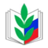 49.png