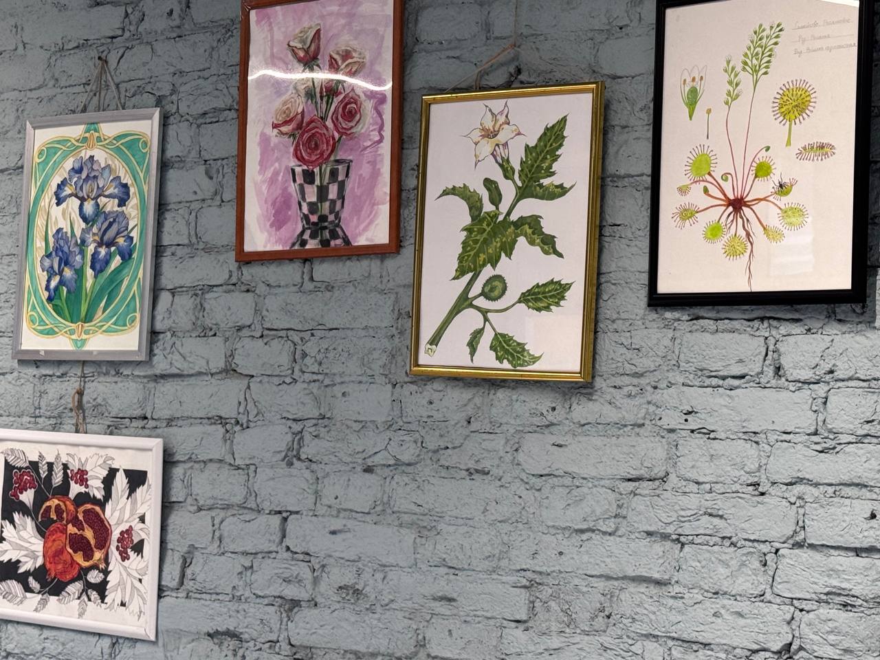 Точная наука. Живое искусство. В гостиной Открытого кампуса открылась выставка победителей Международного конкурса ботанической иллюстрации