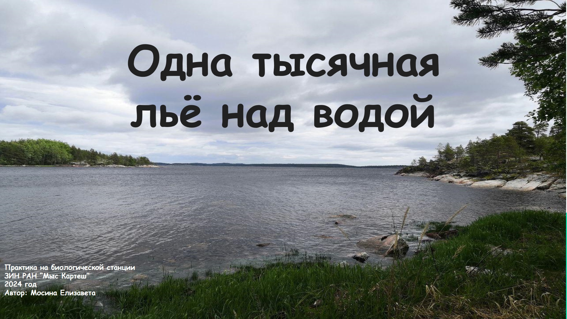 ЛП 4.jpg
