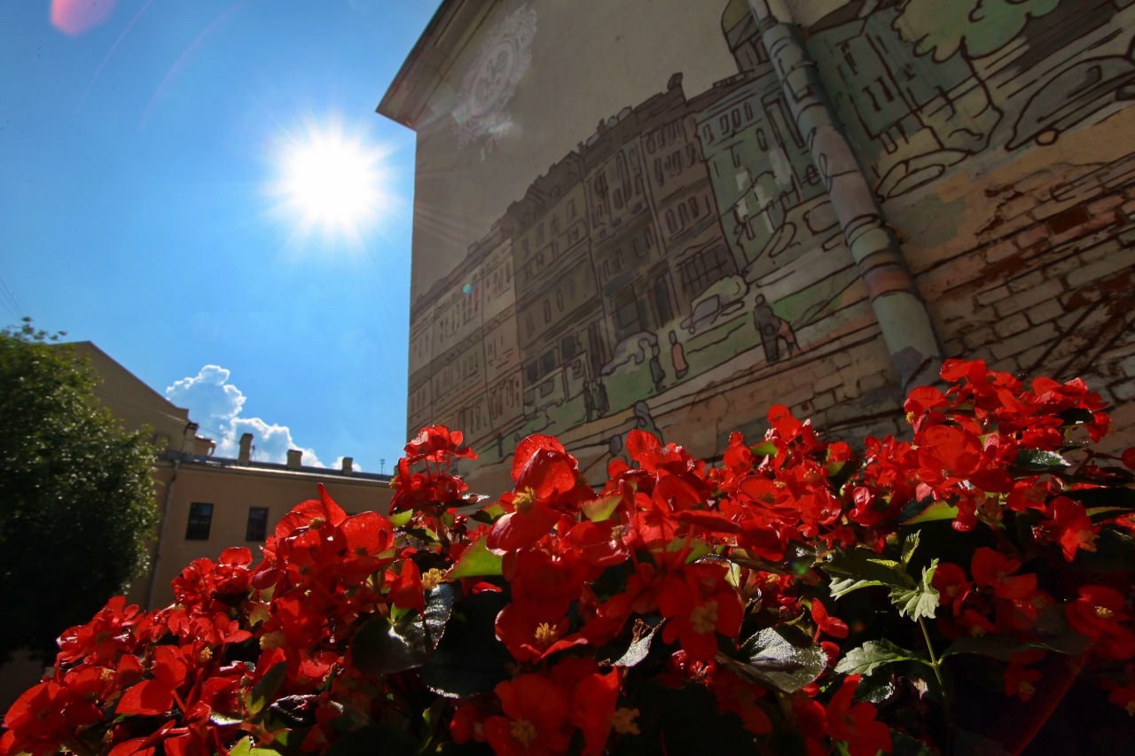 Контейнерное озеленение: как Герценовский университет становится зеленее